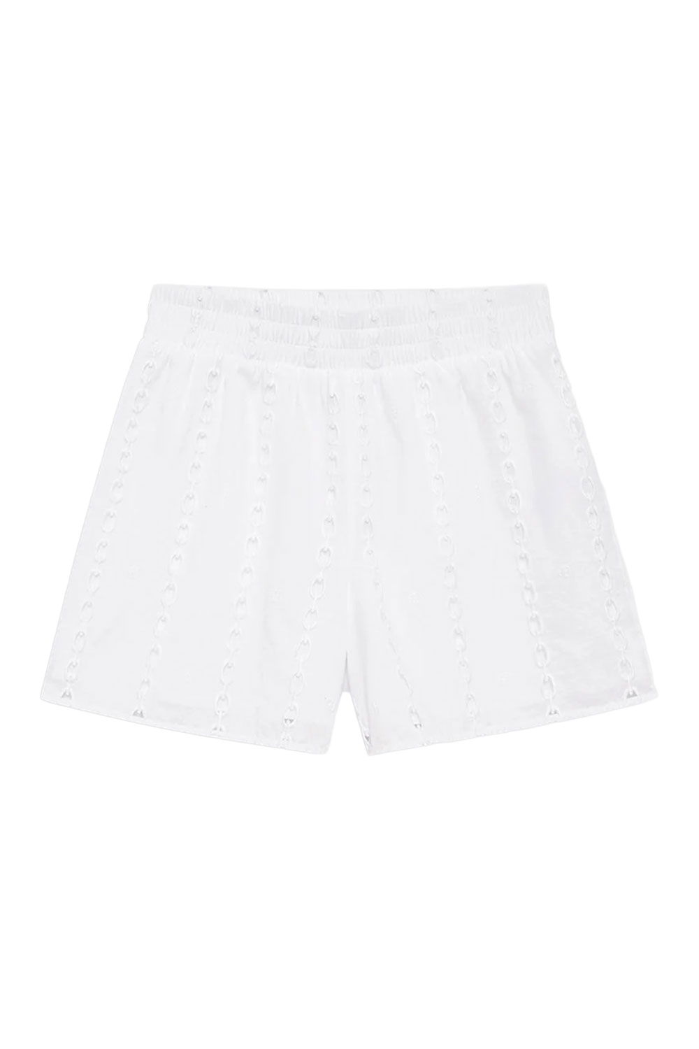 IRIS_aninebing_23012026_0040