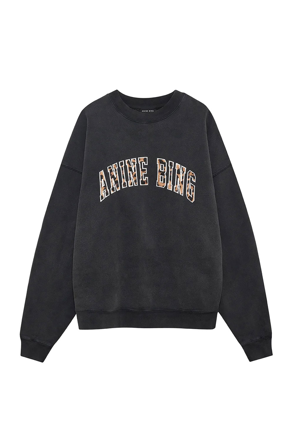 IRIS_aninebing_23012026_0044