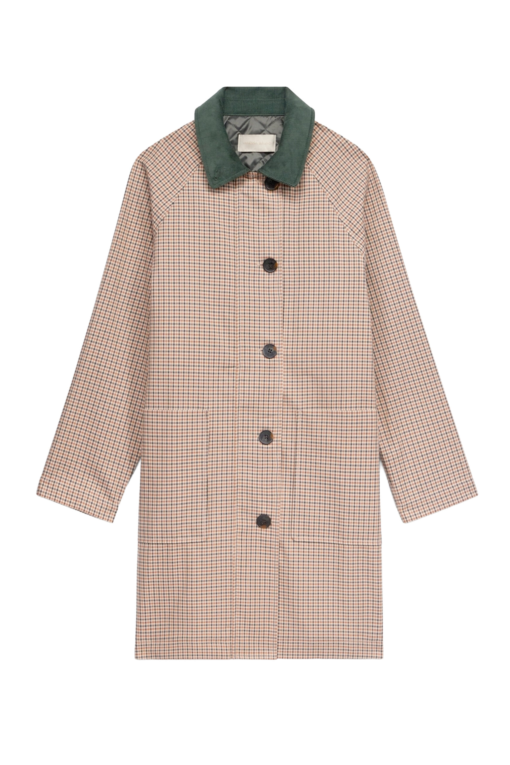 IRIS_vanessabruno_26022026_0007